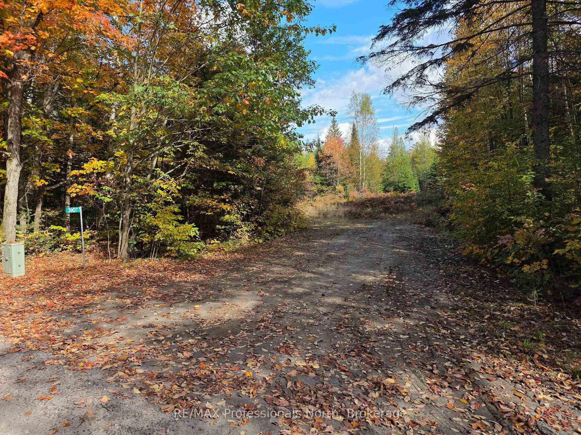 Photo 4 of 3907 Stisted Road, McMurrich/Monteith, McMurrich — HOMEH