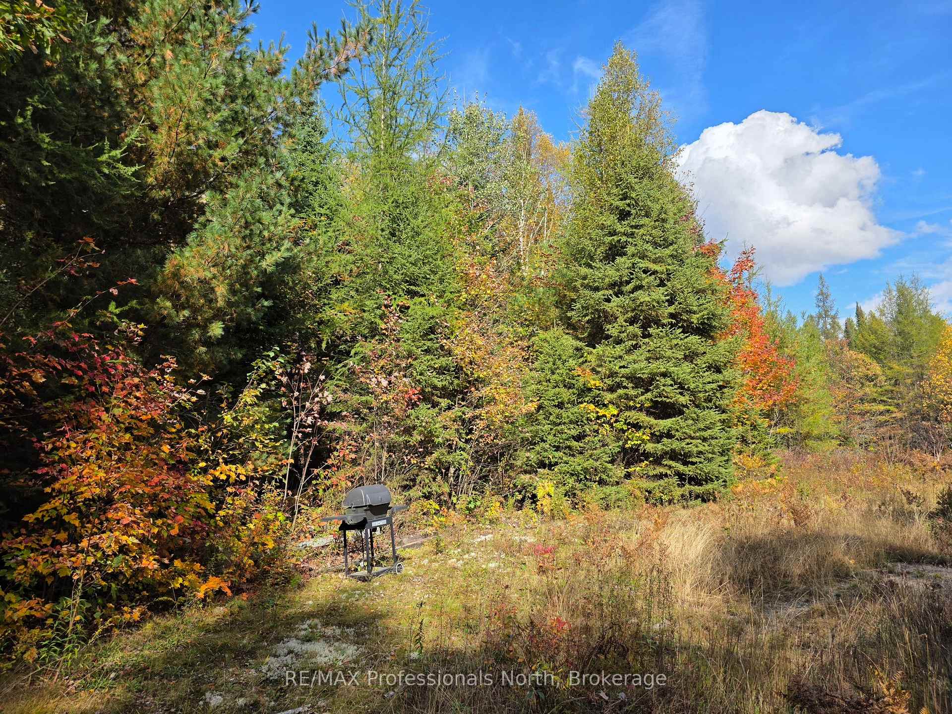 Photo 6 of 3907 Stisted Road, McMurrich/Monteith, McMurrich — HOMEH