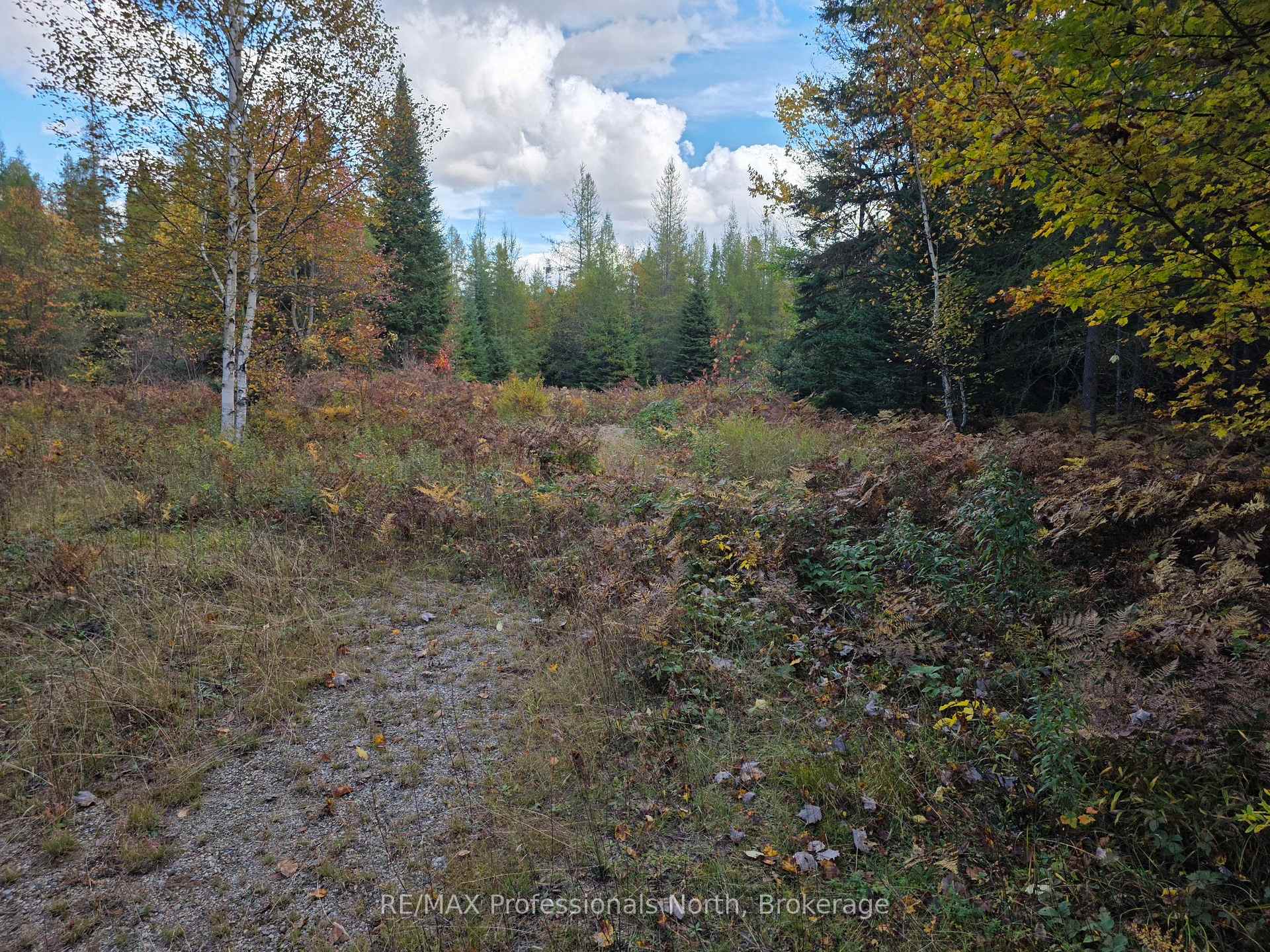 Photo 8 of 3907 Stisted Road, McMurrich/Monteith, McMurrich — HOMEH