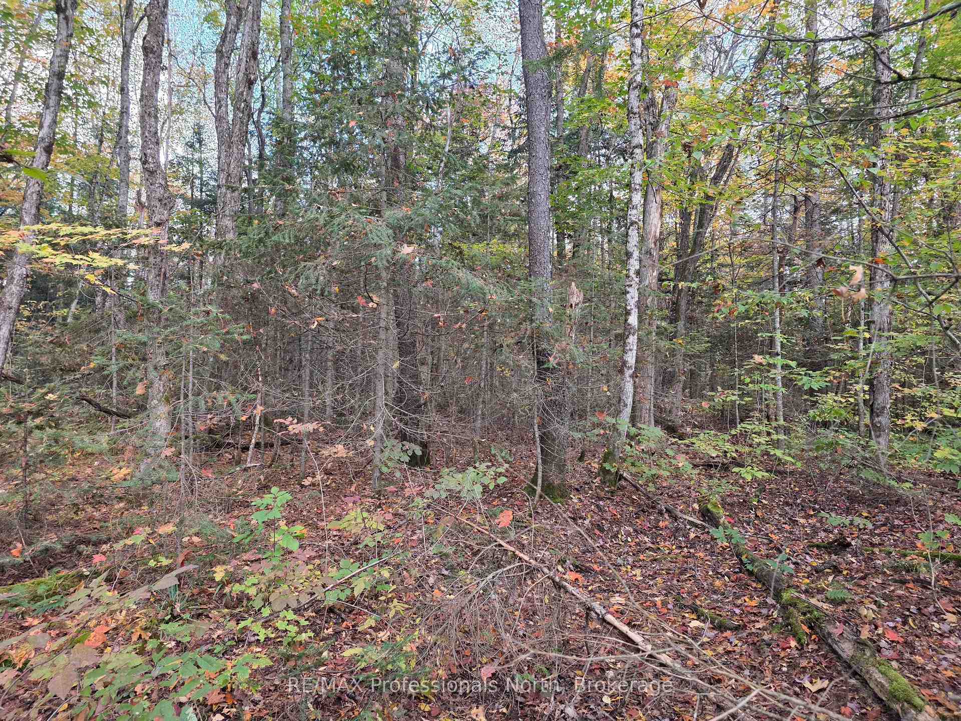 Photo 10 of 3907 Stisted Road, McMurrich/Monteith, McMurrich — HOMEH