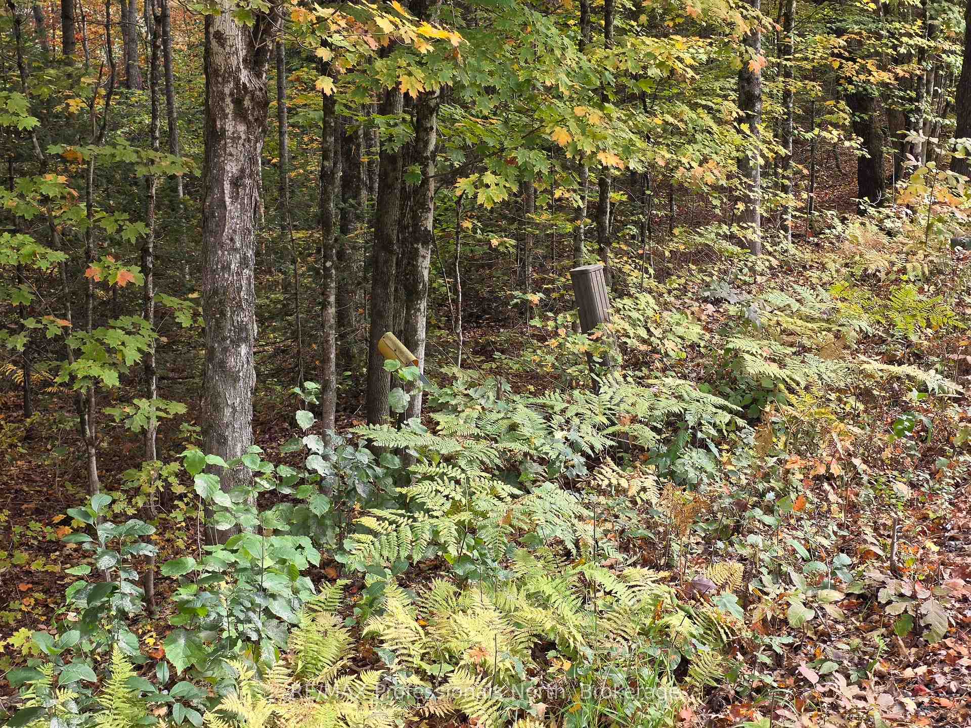 Photo 11 of 3907 Stisted Road, McMurrich/Monteith, McMurrich — HOMEH