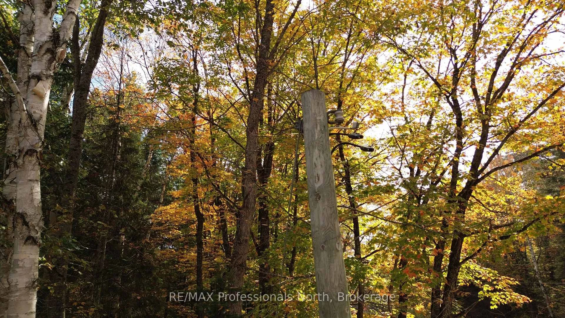 Photo 15 of 3907 Stisted Road, McMurrich/Monteith, McMurrich — HOMEH
