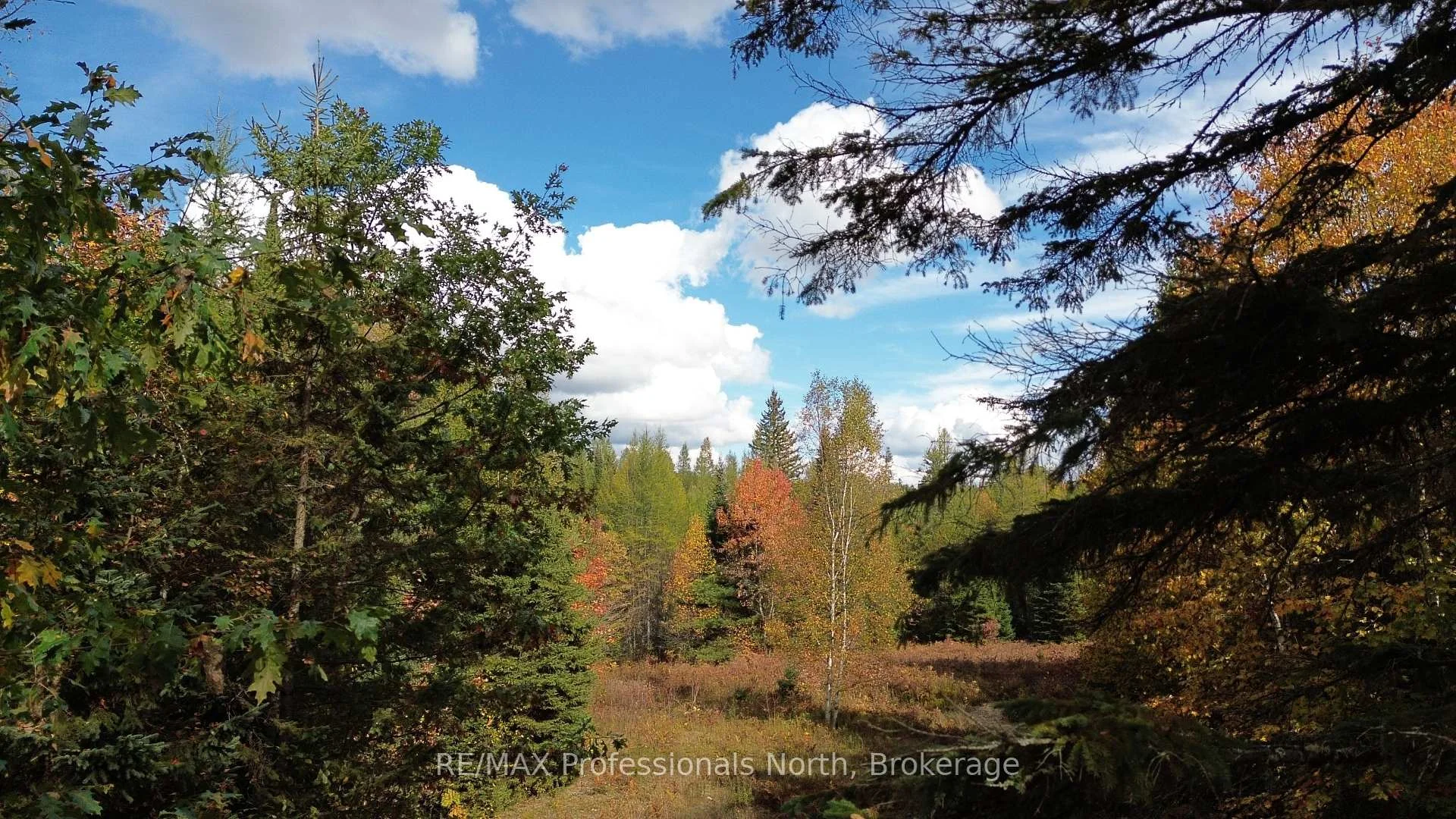 Photo 25 of 3907 Stisted Road, McMurrich/Monteith, McMurrich — HOMEH
