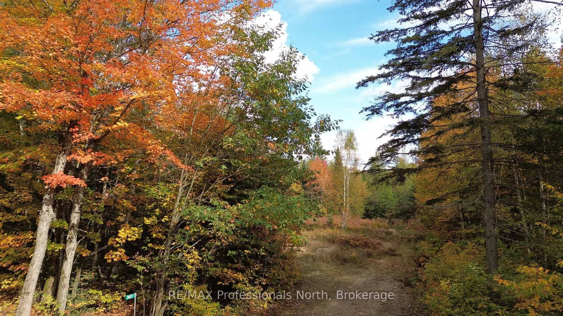 Photo 27 of 3907 Stisted Road, McMurrich/Monteith, McMurrich — HOMEH