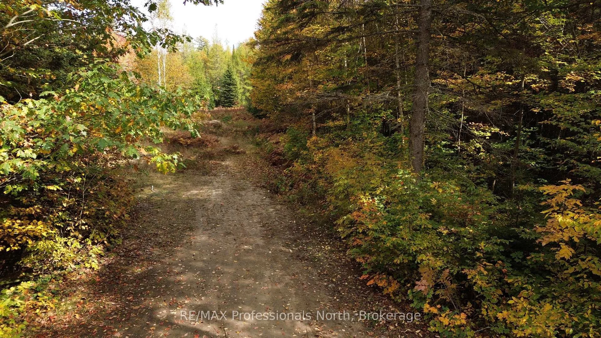 Photo 28 of 3907 Stisted Road, McMurrich/Monteith, McMurrich — HOMEH