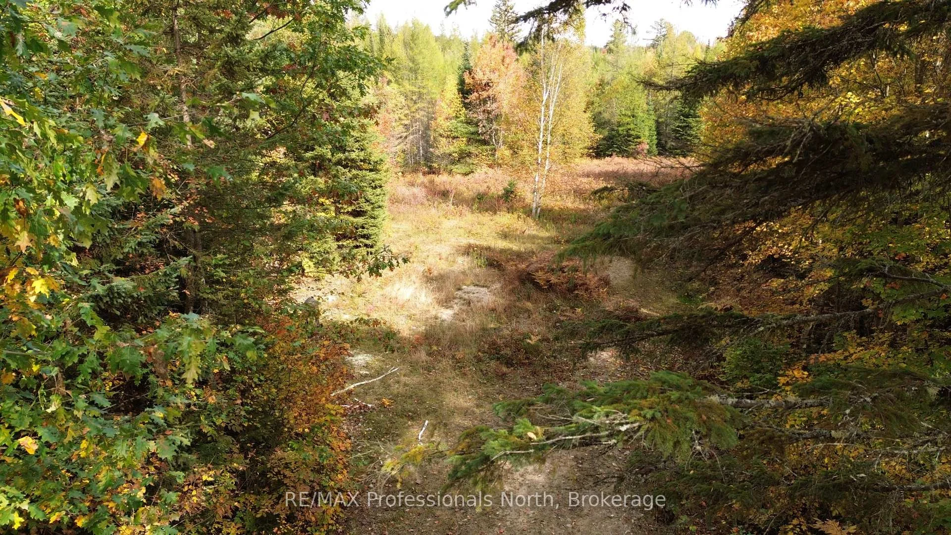 Photo 29 of 3907 Stisted Road, McMurrich/Monteith, McMurrich — HOMEH