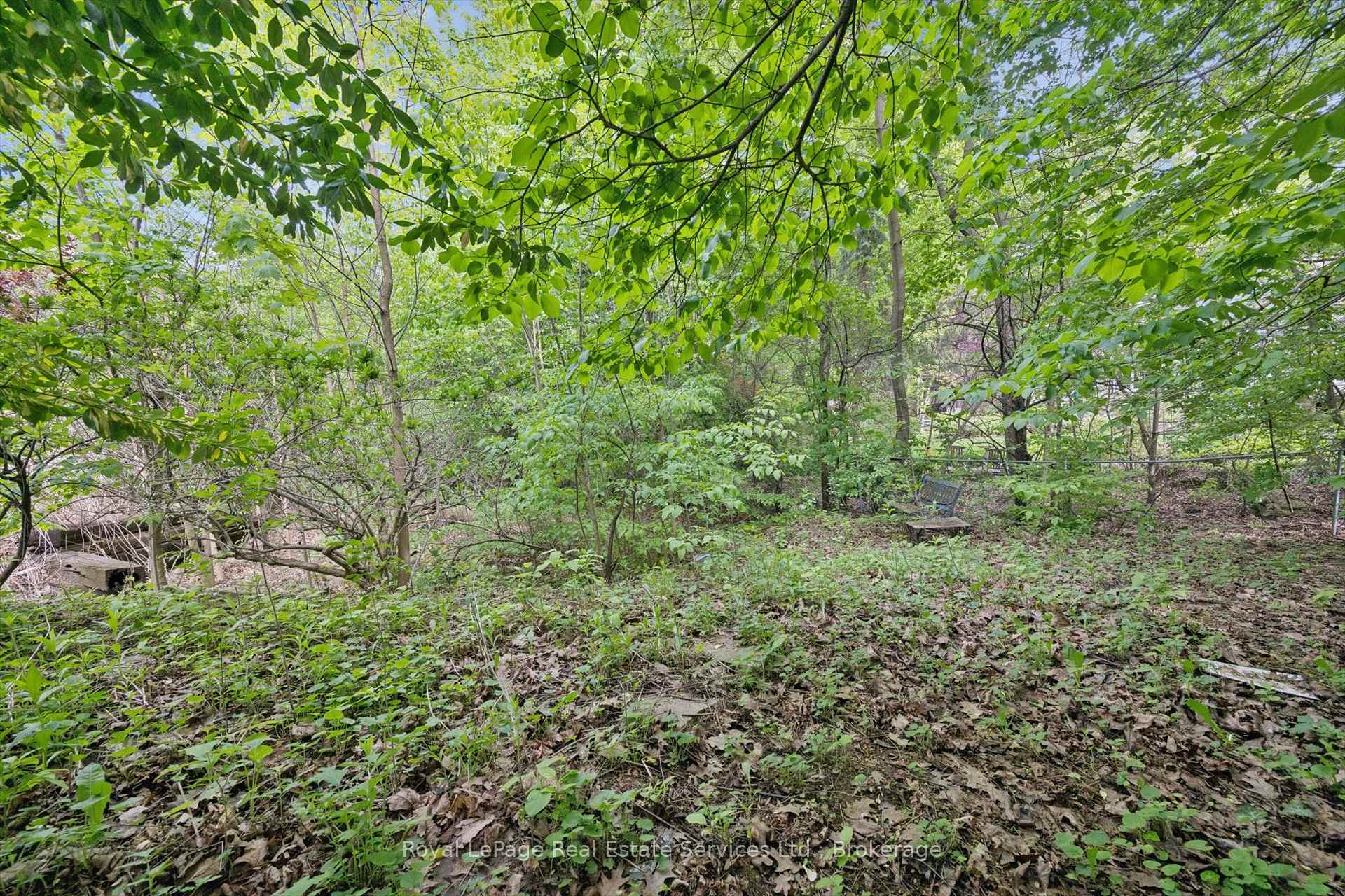 Photo 11 of 1118 Melvin Avenue, Oakville, Morrison — HOMEH