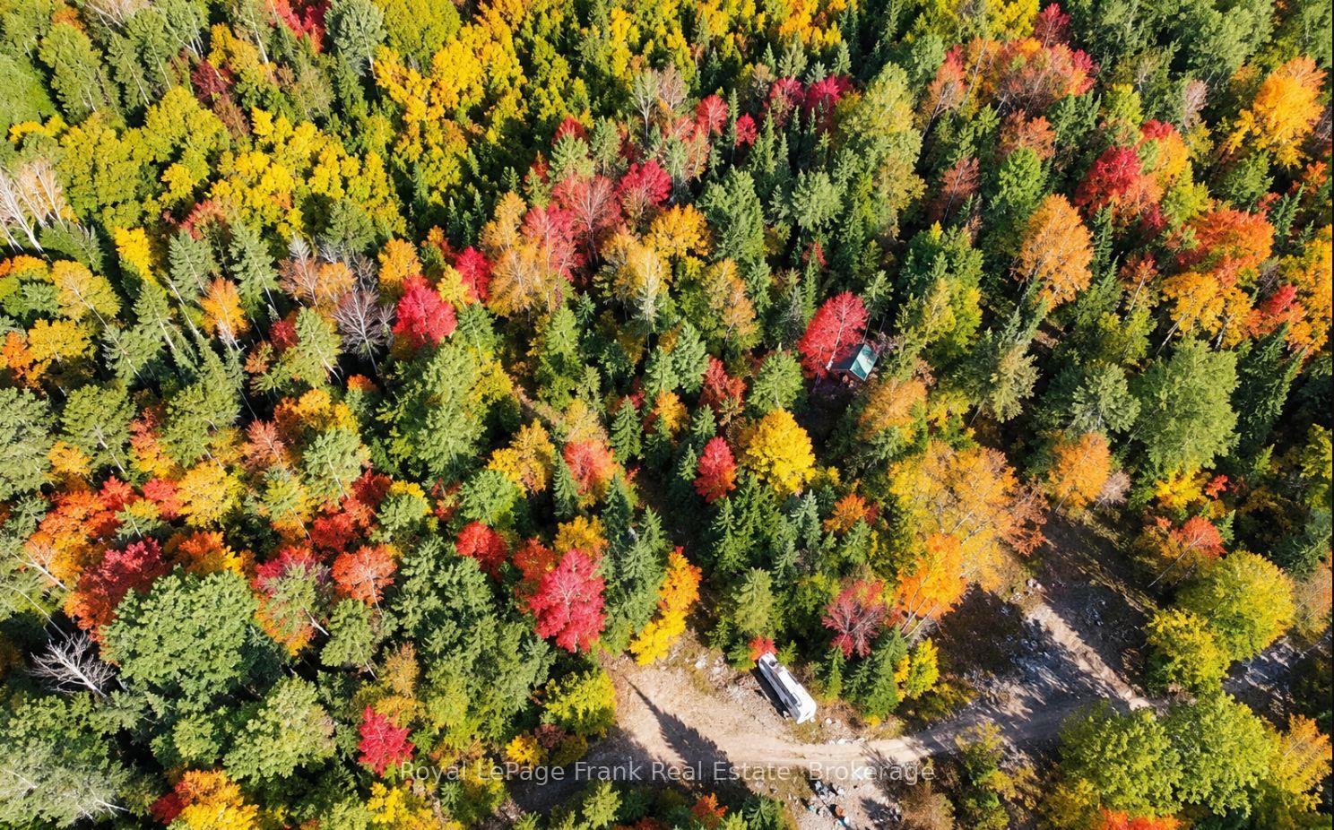 Photo 11 of Peterson Road, Hastings Highlands, Herschel Ward — HOMEH