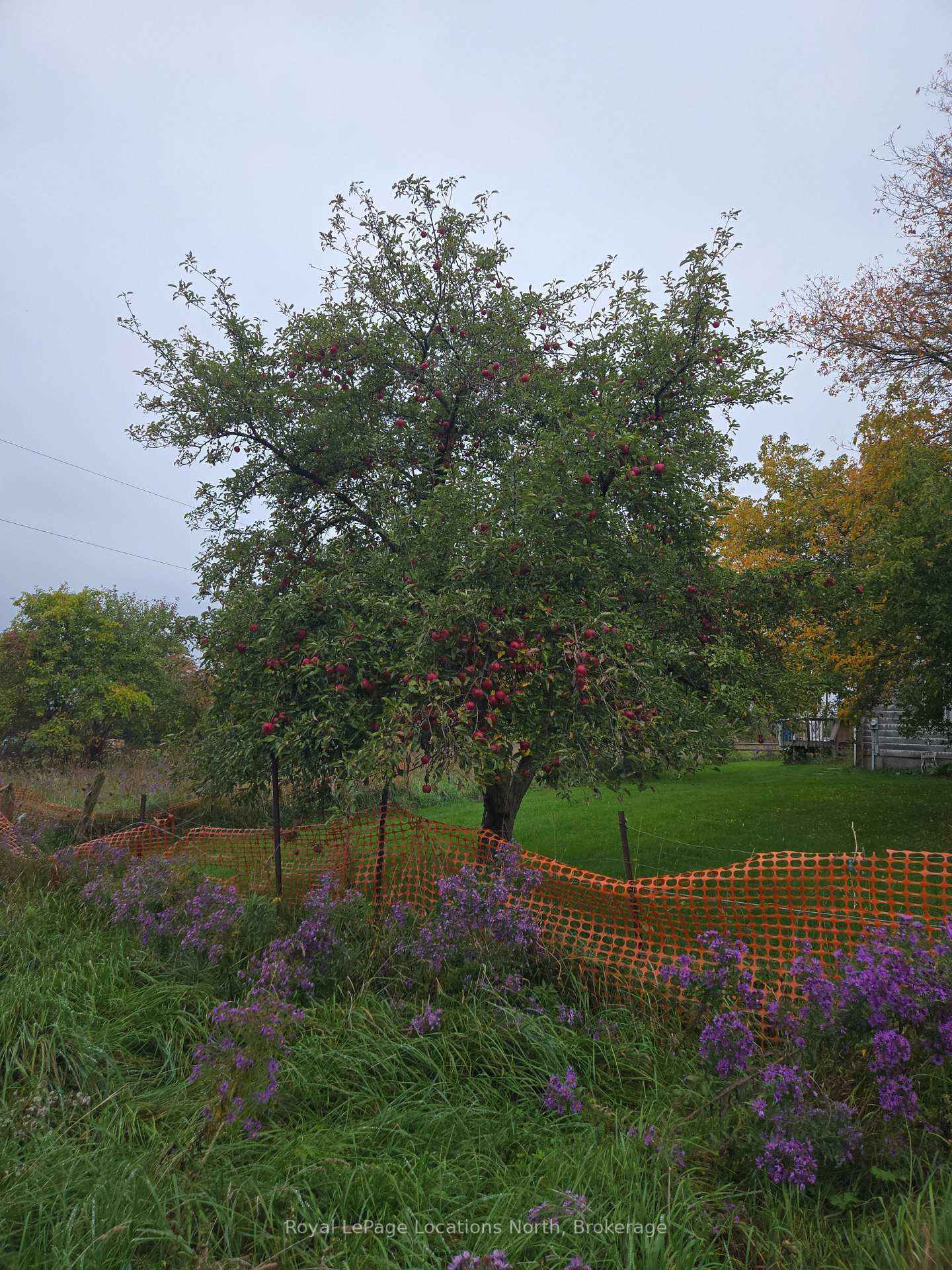 Photo 28 of 2939 92 County Road, Springwater, Rural Springwater — HOMEH