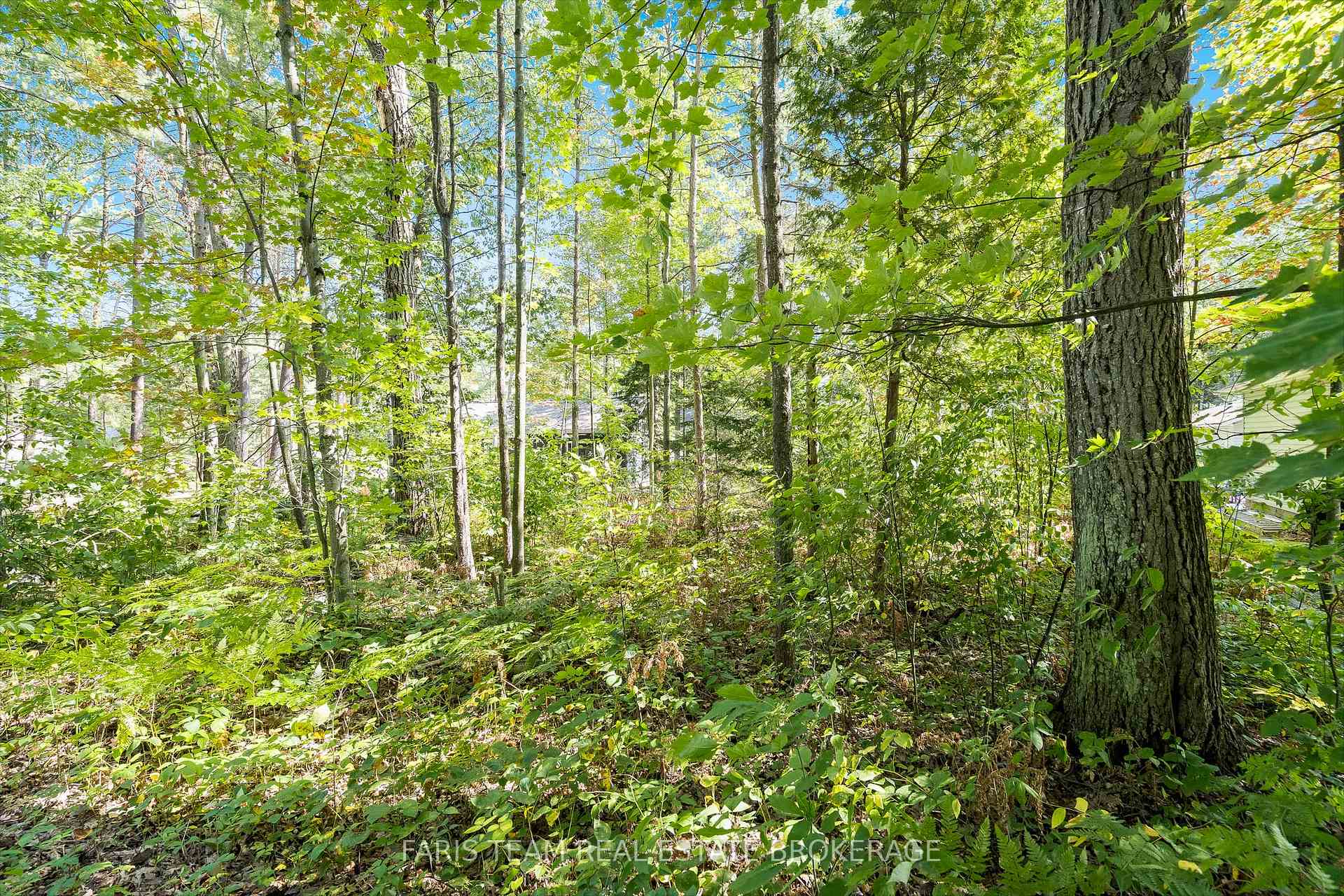 Photo 12 of Lot 9 James Street, Tiny, Rural Tiny — HOMEH