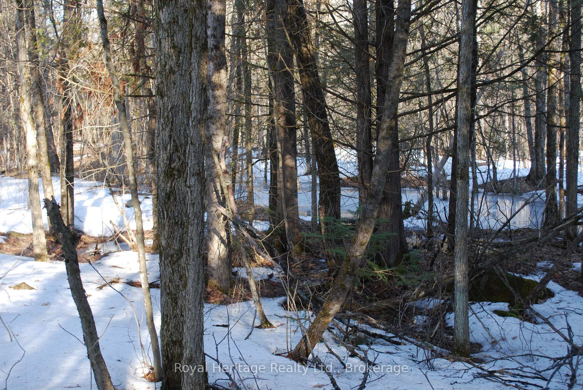 Photo 2 of 99 Future Lane, Stirling-Rawdon, Rawdon Ward — HOMEH