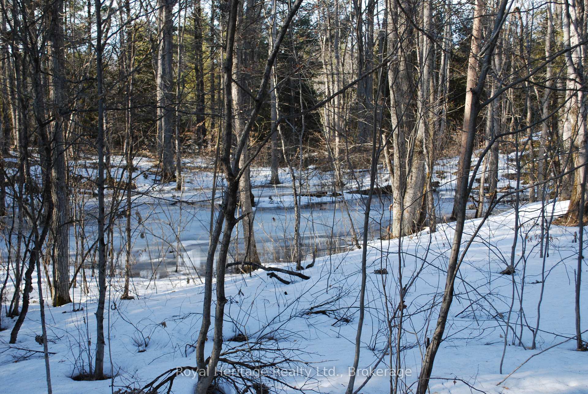 Photo 3 of 99 Future Lane, Stirling-Rawdon, Rawdon Ward — HOMEH