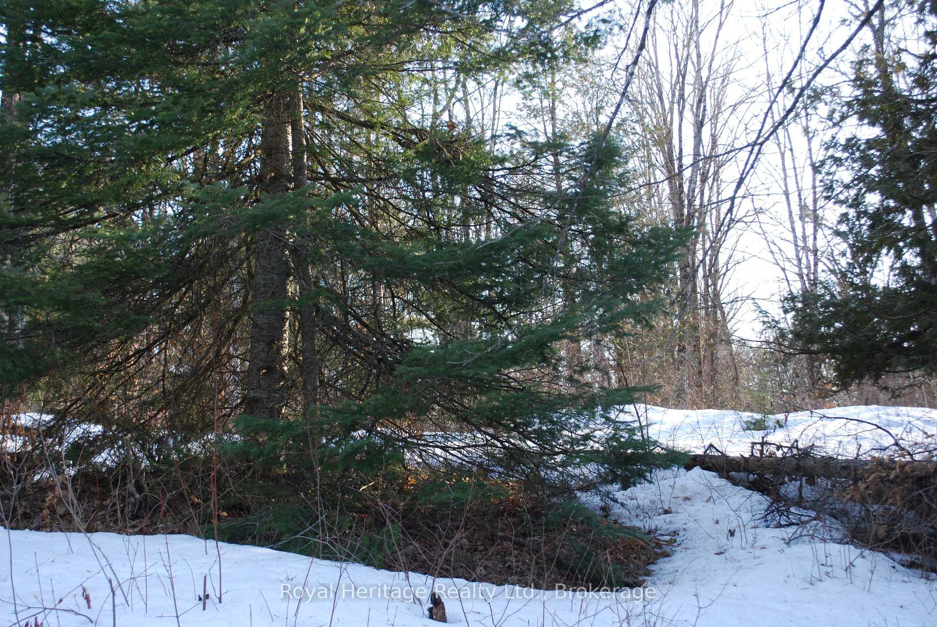 Photo 8 of 99 Future Lane, Stirling-Rawdon, Rawdon Ward — HOMEH