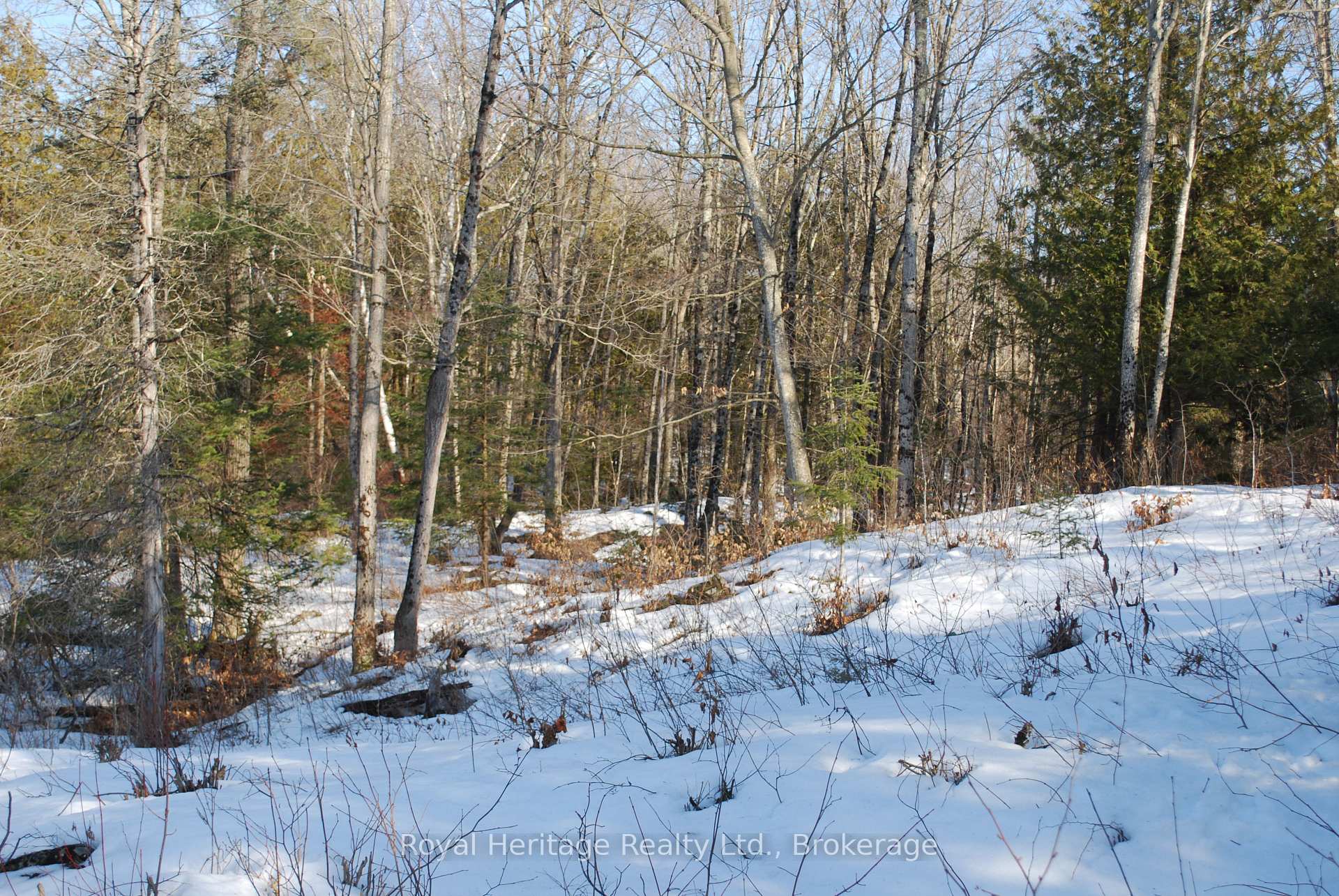 Photo 9 of 99 Future Lane, Stirling-Rawdon, Rawdon Ward — HOMEH