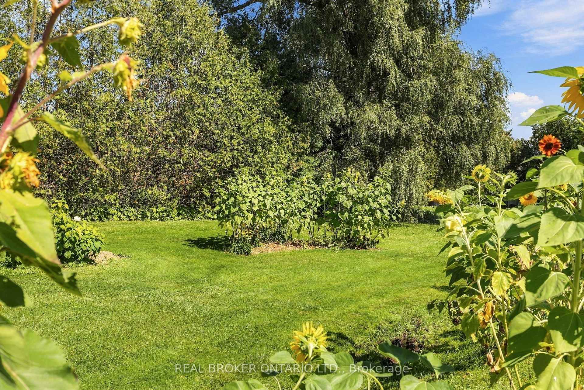Photo 30 of 6 Temperance Street, Uxbridge, Rural Uxbridge — HOMEH