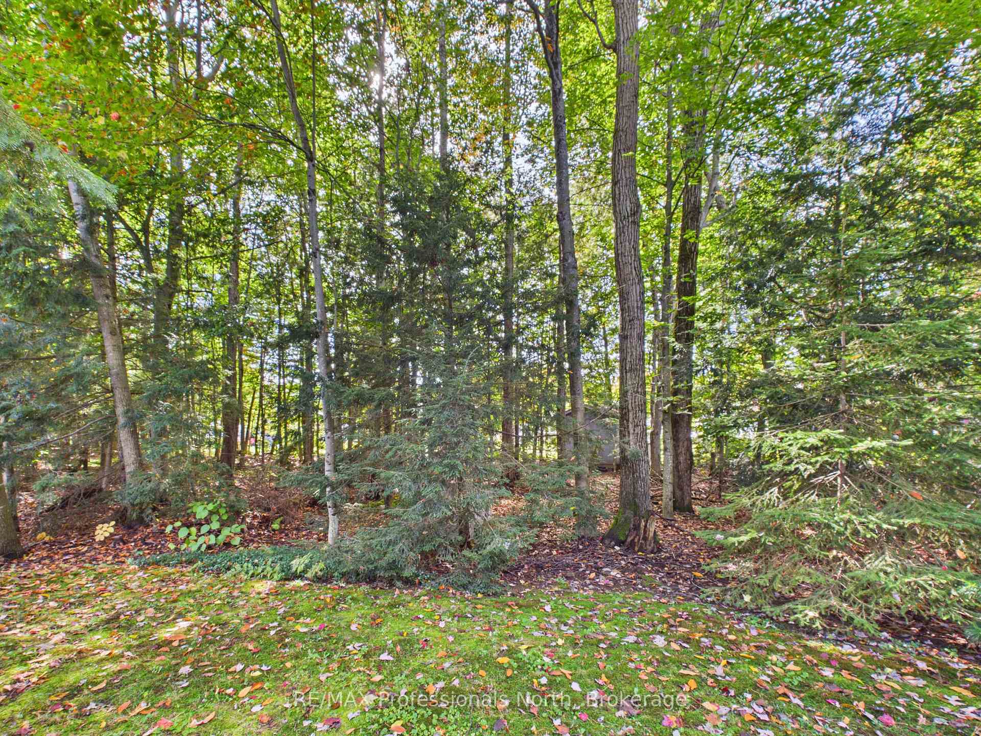 Photo 37 of 48 Springwood Crescent, Gravenhurst, Muskoka (S) — HOMEH