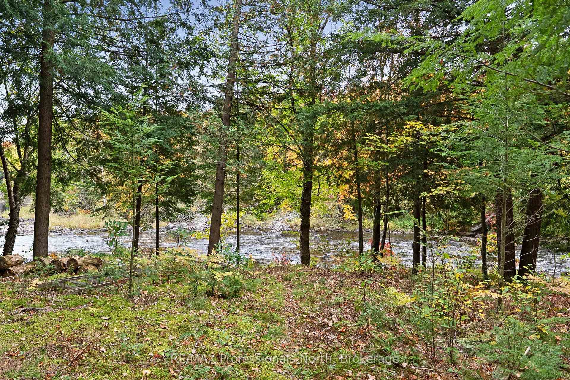 Photo 10 of 1086 Dragonfly Lane, Minden Hills, Snowdon — HOMEH