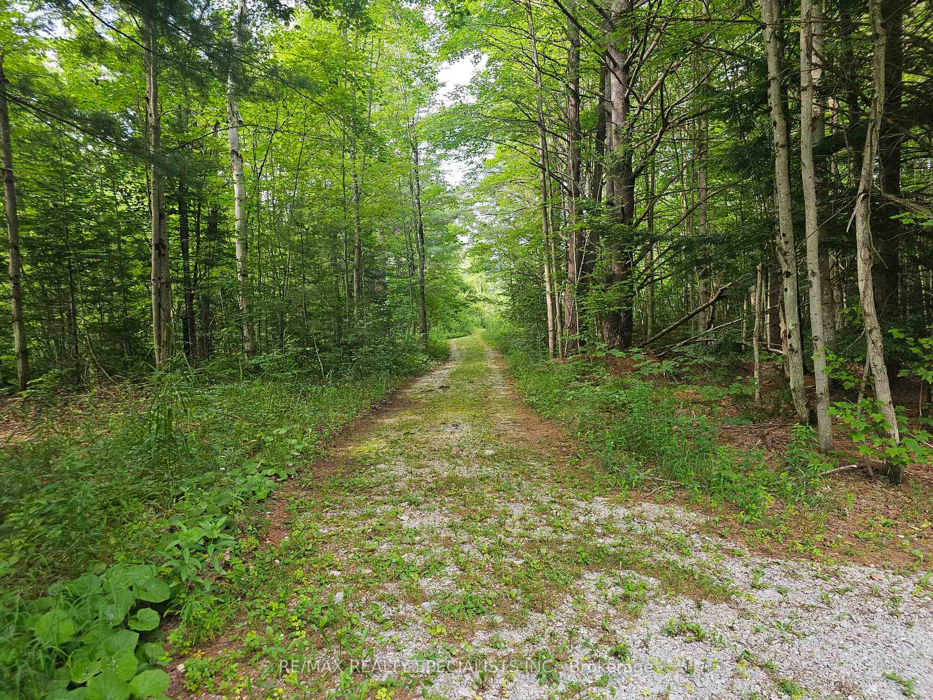 Photo 9 of 3878 Cambrian Road, Severn, Washago — HOMEH