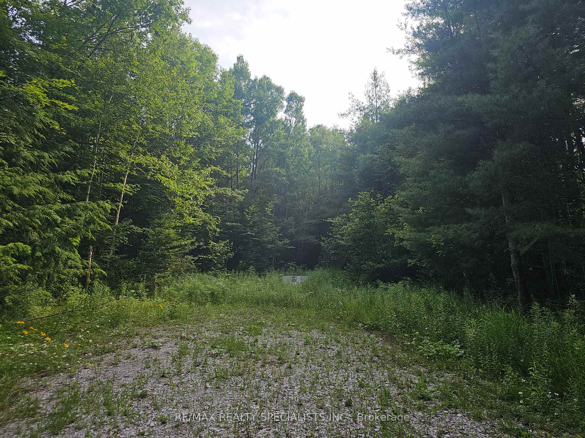 Photo 10 of 3878 Cambrian Road, Severn, Washago — HOMEH