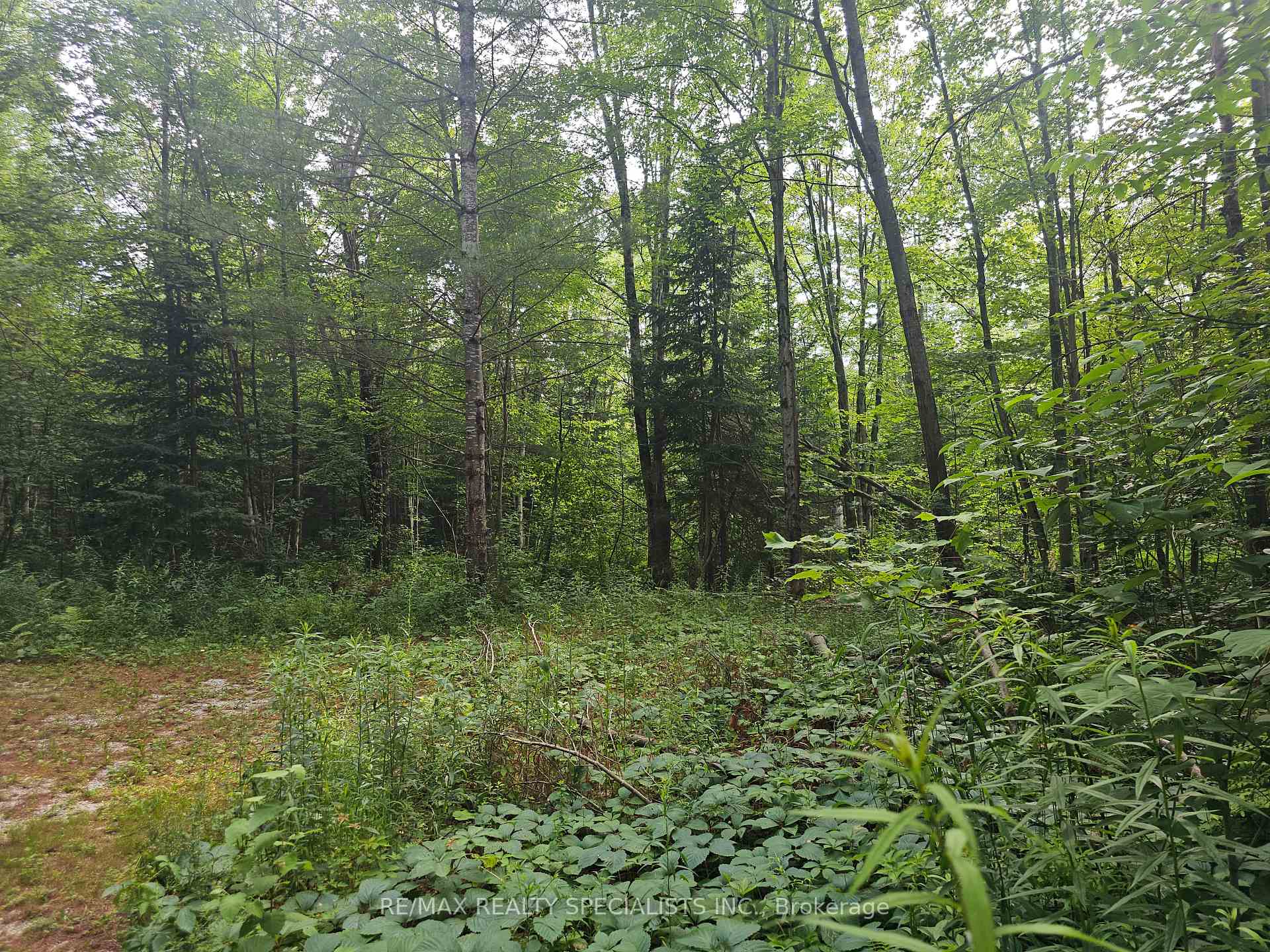 Photo 25 of 3878 Cambrian Road, Severn, Washago — HOMEH