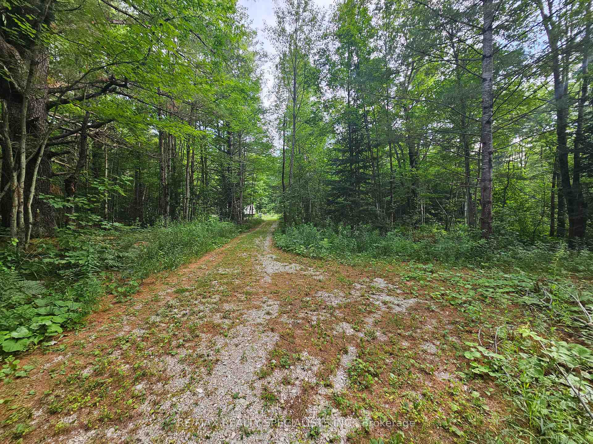 Photo 26 of 3878 Cambrian Road, Severn, Washago — HOMEH