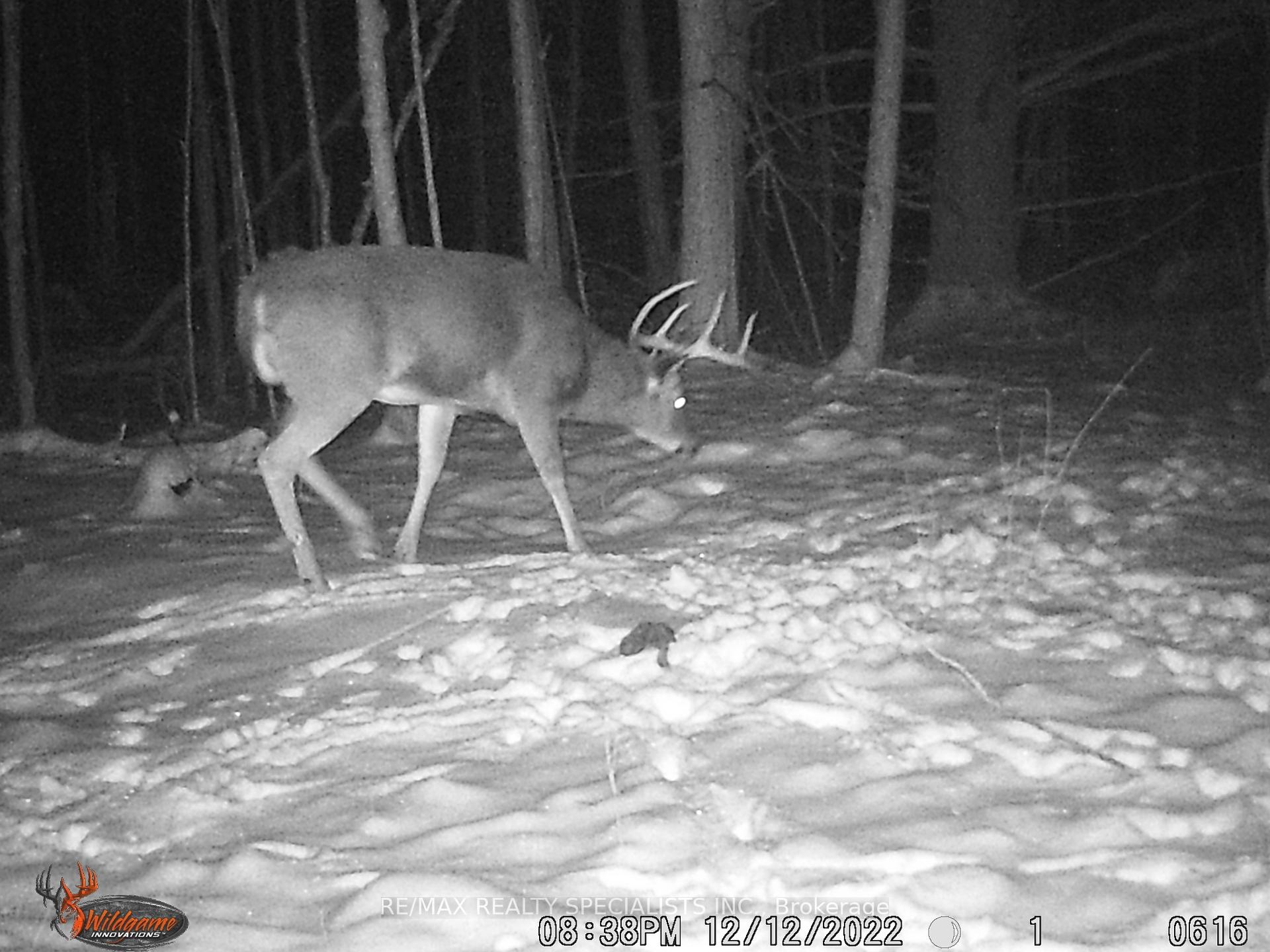 Photo 27 of 3878 Cambrian Road, Severn, Washago — HOMEH