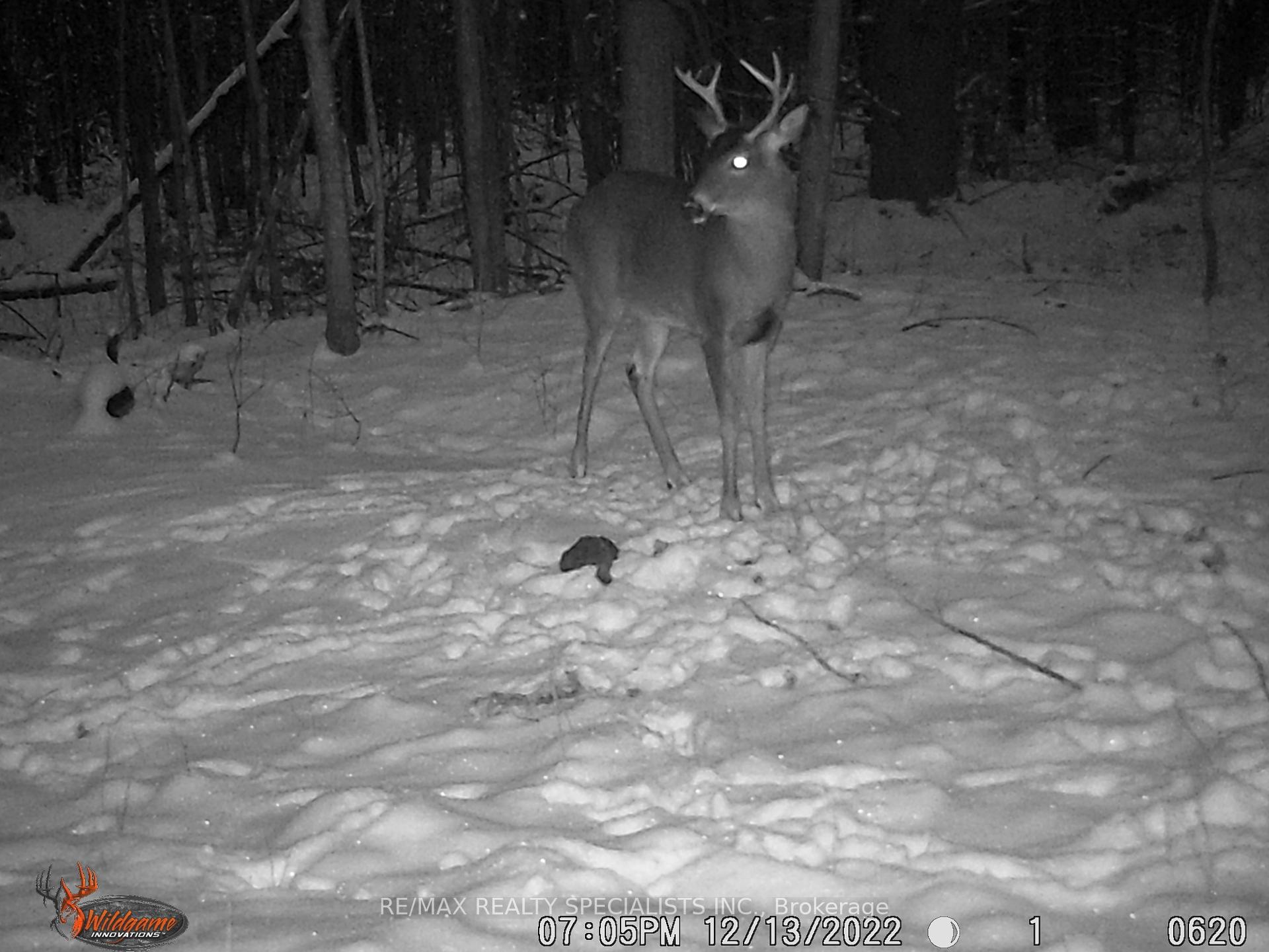 Photo 28 of 3878 Cambrian Road, Severn, Washago — HOMEH