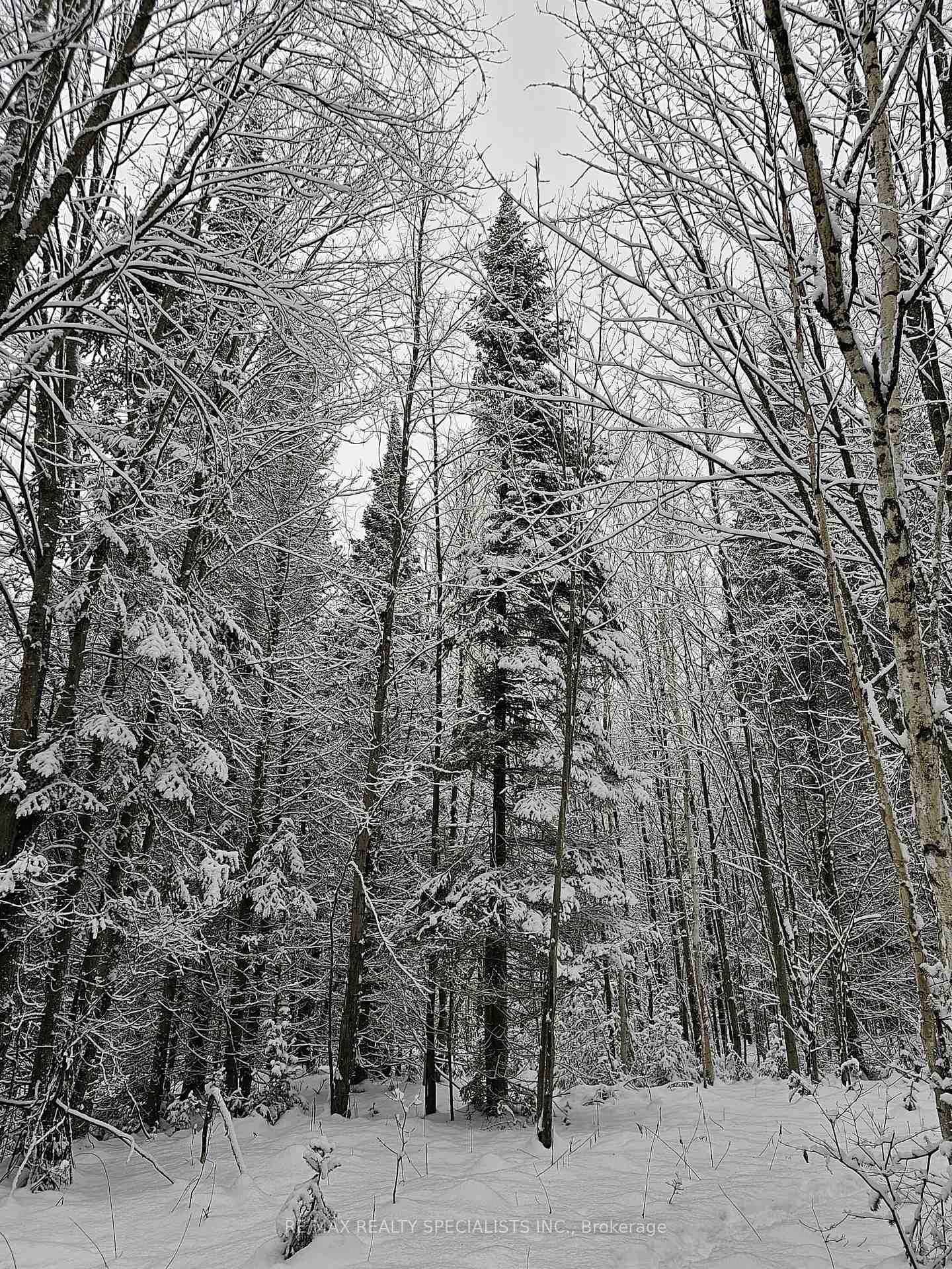 Photo 34 of 3878 Cambrian Road, Severn, Washago — HOMEH