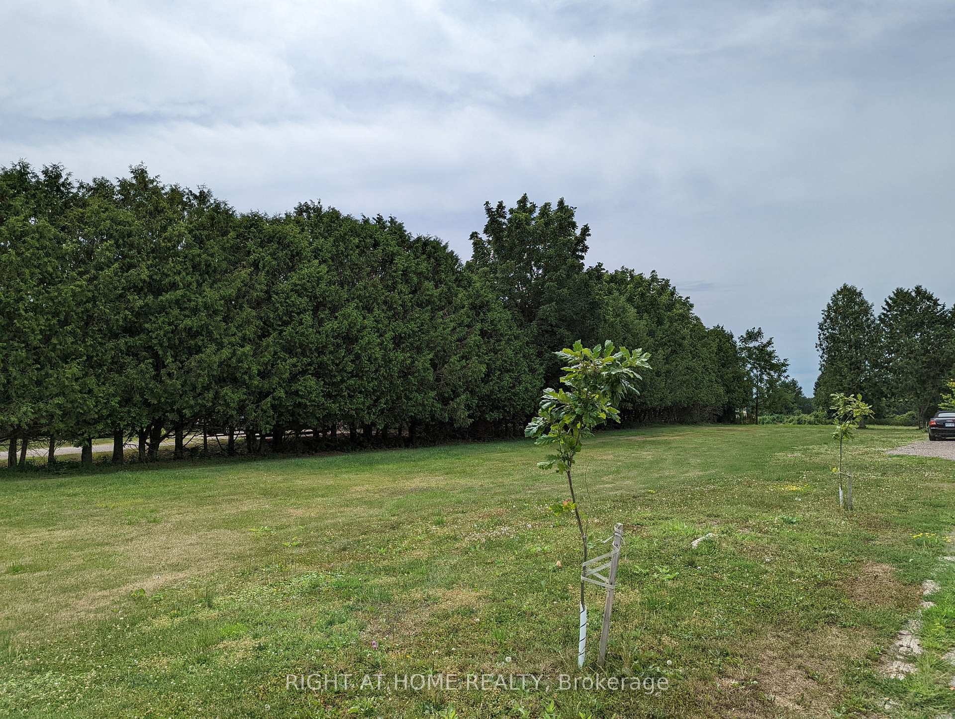 Photo 5 of 392 Second Street, Strathroy-Caradoc, NE — HOMEH