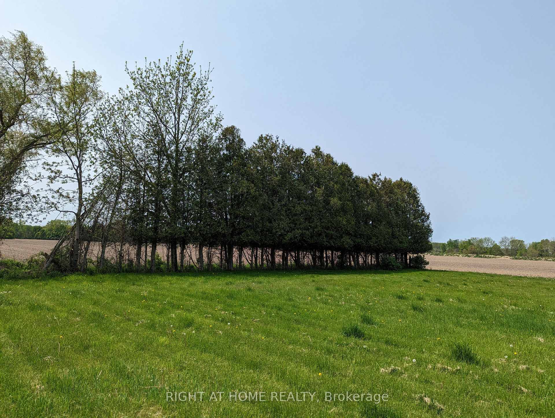 Photo 7 of 392 Second Street, Strathroy-Caradoc, NE — HOMEH