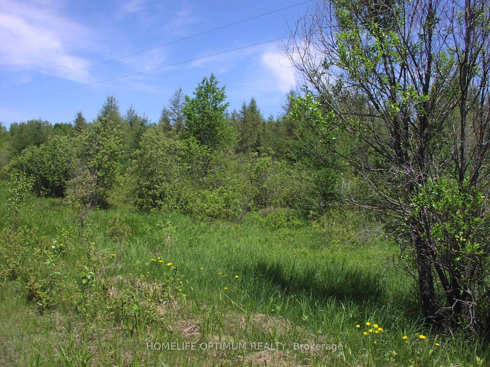 Photo 2 of Parcel 4217 Williamson Township, Val Rita-Harty, Harty — HOMEH