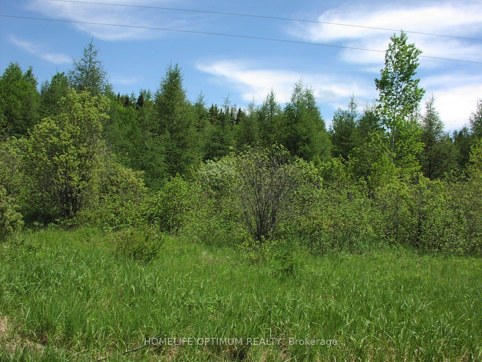 Photo 3 of Parcel 4217 Williamson Township, Val Rita-Harty, Harty — HOMEH