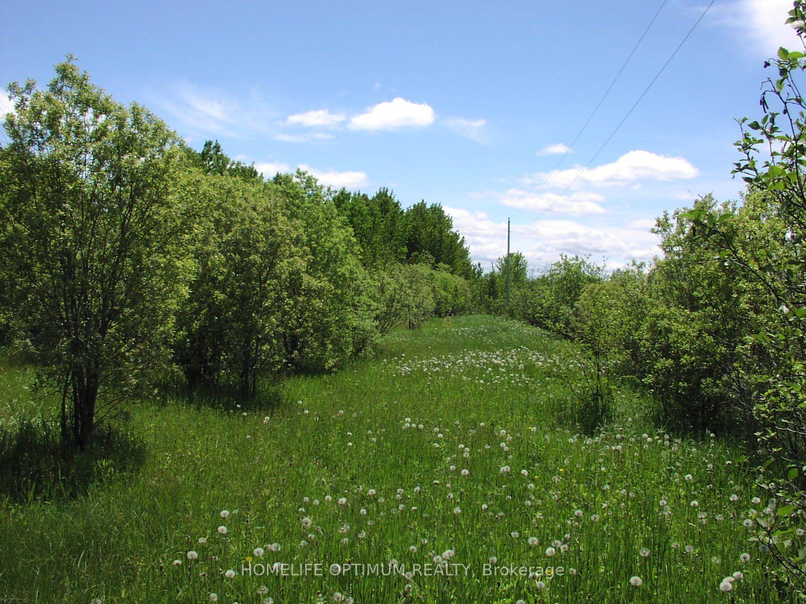 Photo 6 of Parcel 4217 Williamson Township, Val Rita-Harty, Harty — HOMEH