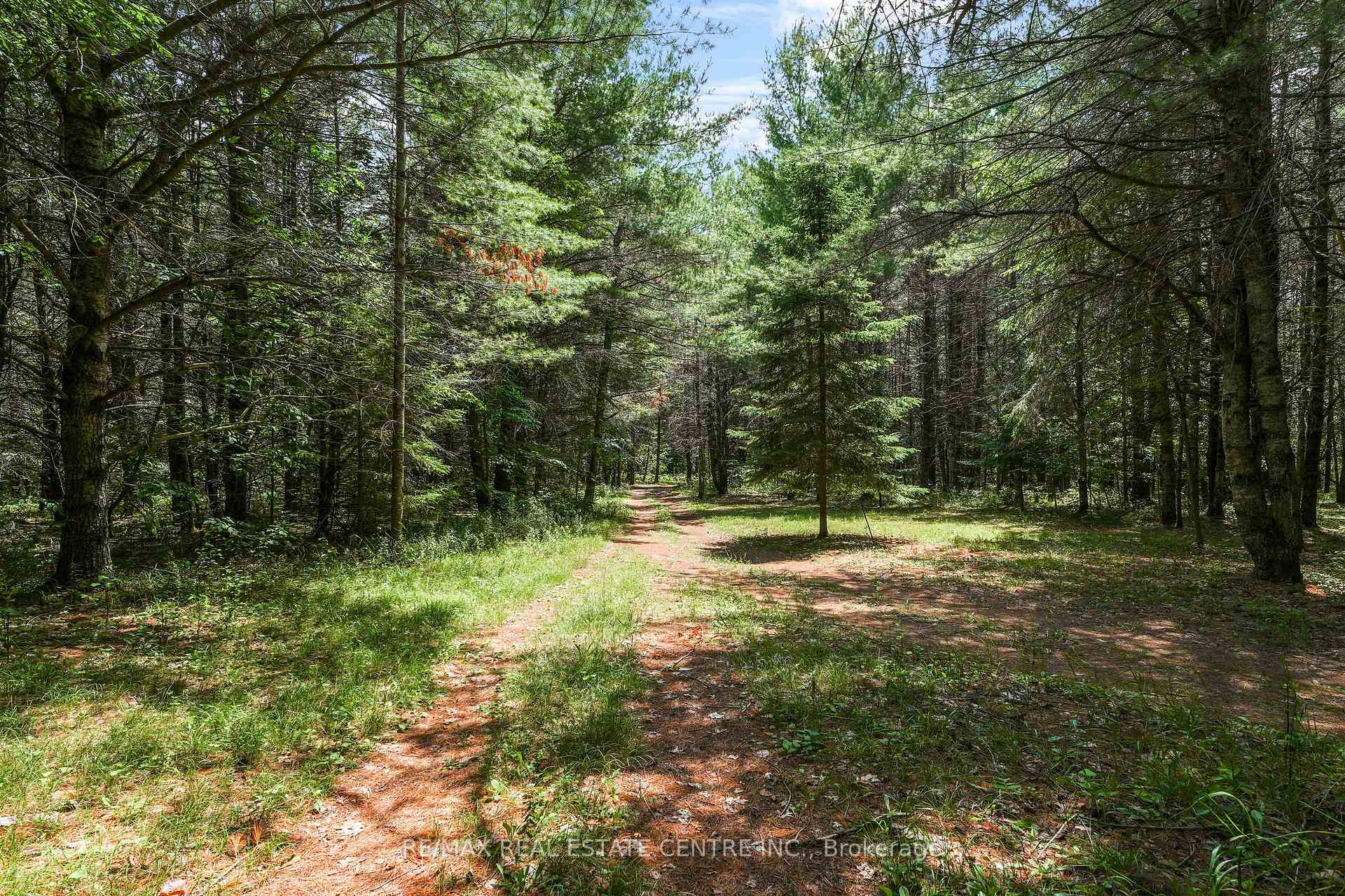 Photo 39 of 16 Williams Drive, Bancroft, Bancroft Ward — HOMEH