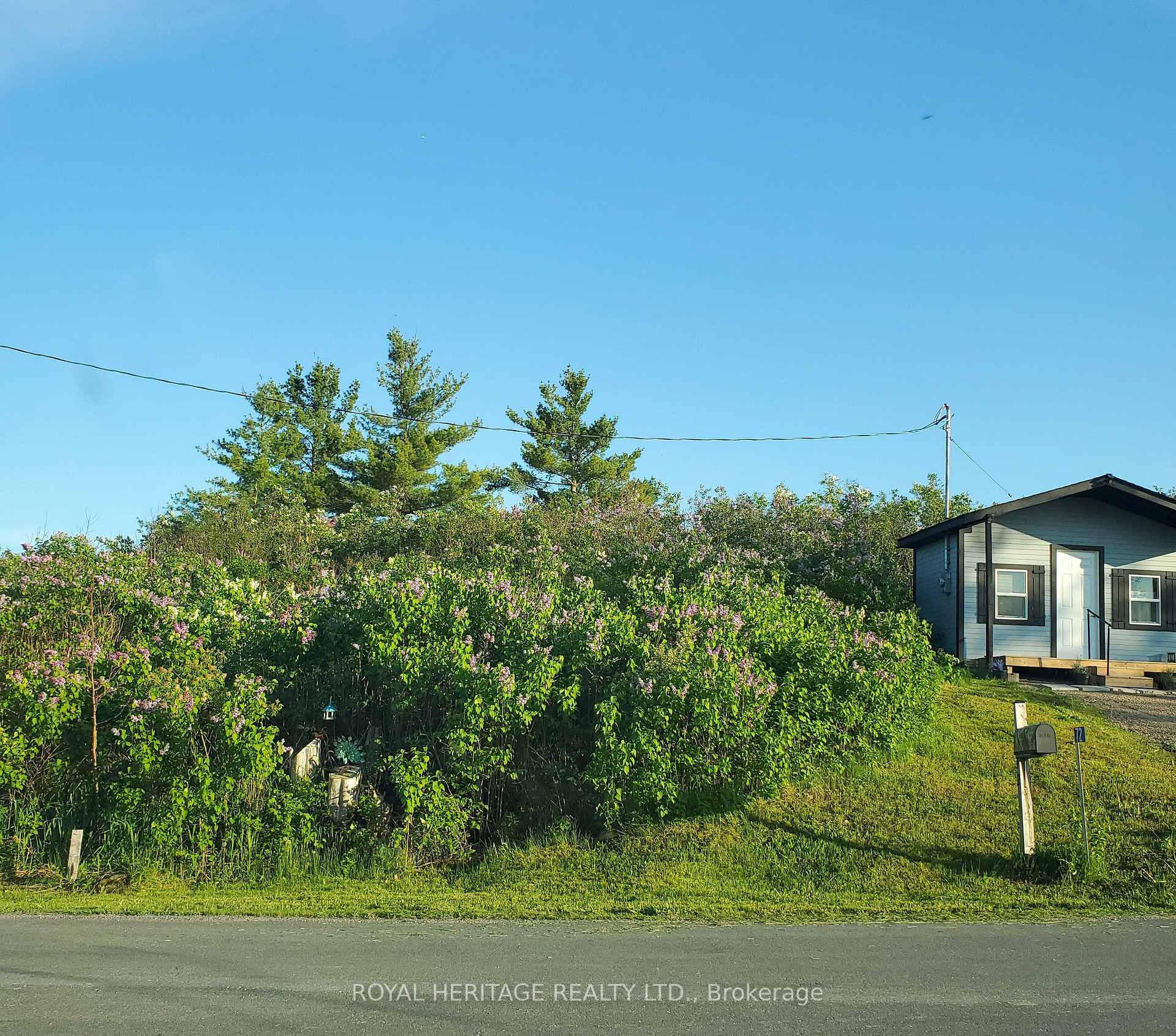Photo 4 of 72 Store Street, Tweed, Elzevir (Twp) — HOMEH