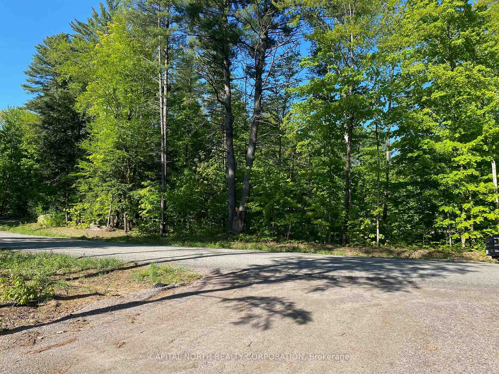 Photo 5 of 1106 Xavier Street, Gravenhurst, Morrison — HOMEH
