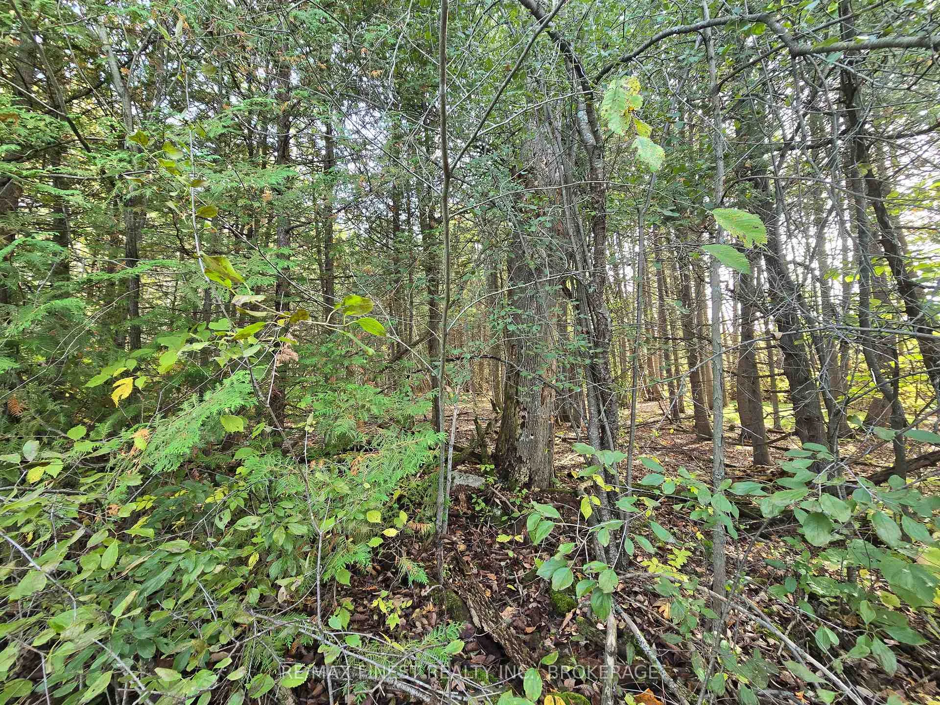 Photo 12 of PT LT 23 & 24 Hunt Road, Stone Mills, Stone Mills — HOMEH