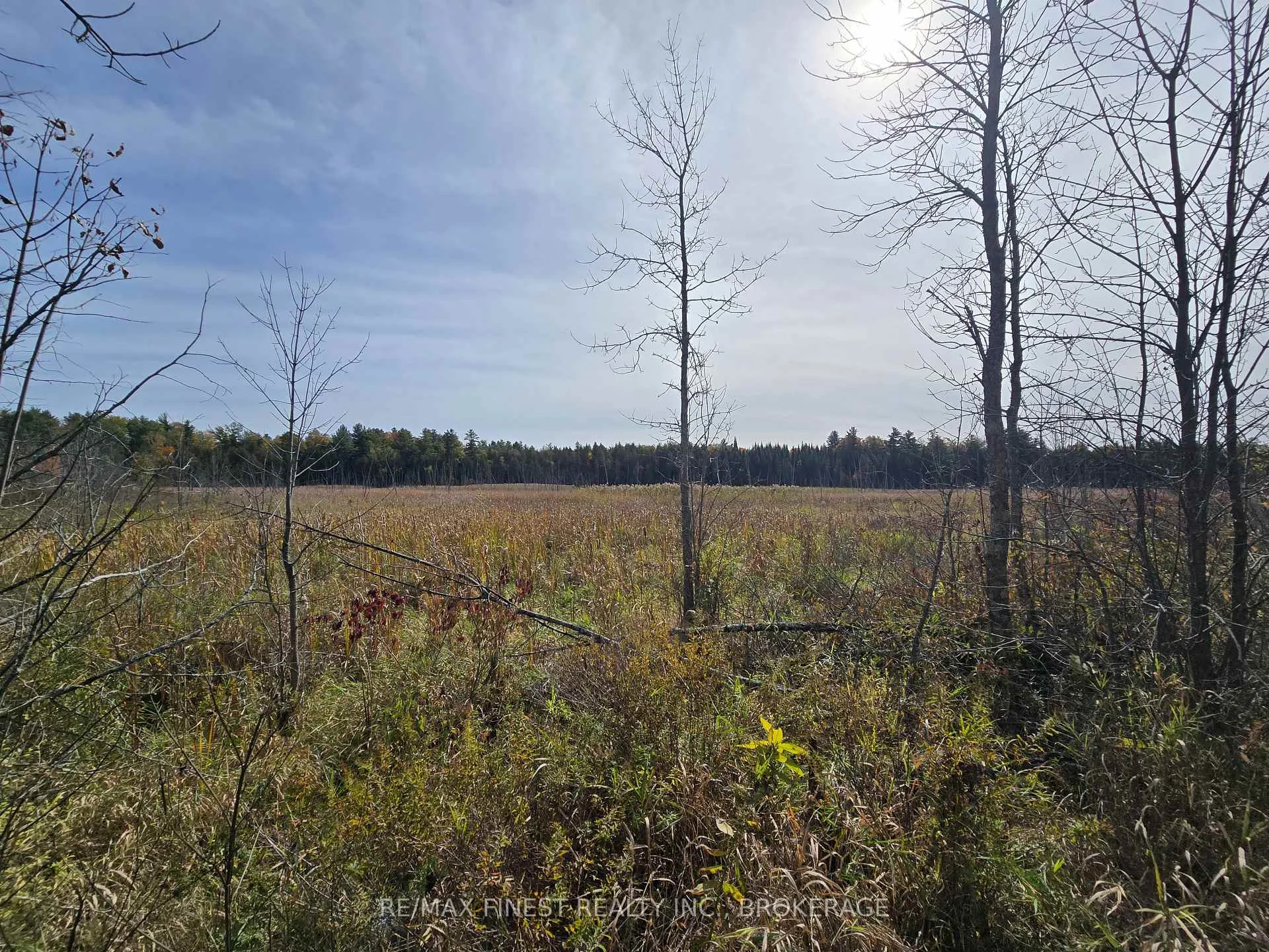 Photo 13 of PT LT 23 & 24 Hunt Road, Stone Mills, Stone Mills — HOMEH