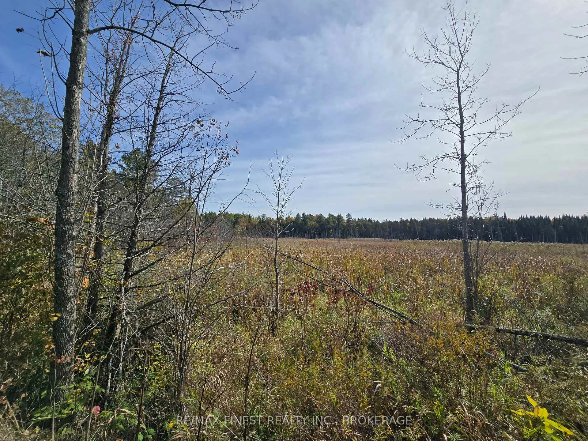 Photo 14 of PT LT 23 & 24 Hunt Road, Stone Mills, Stone Mills — HOMEH