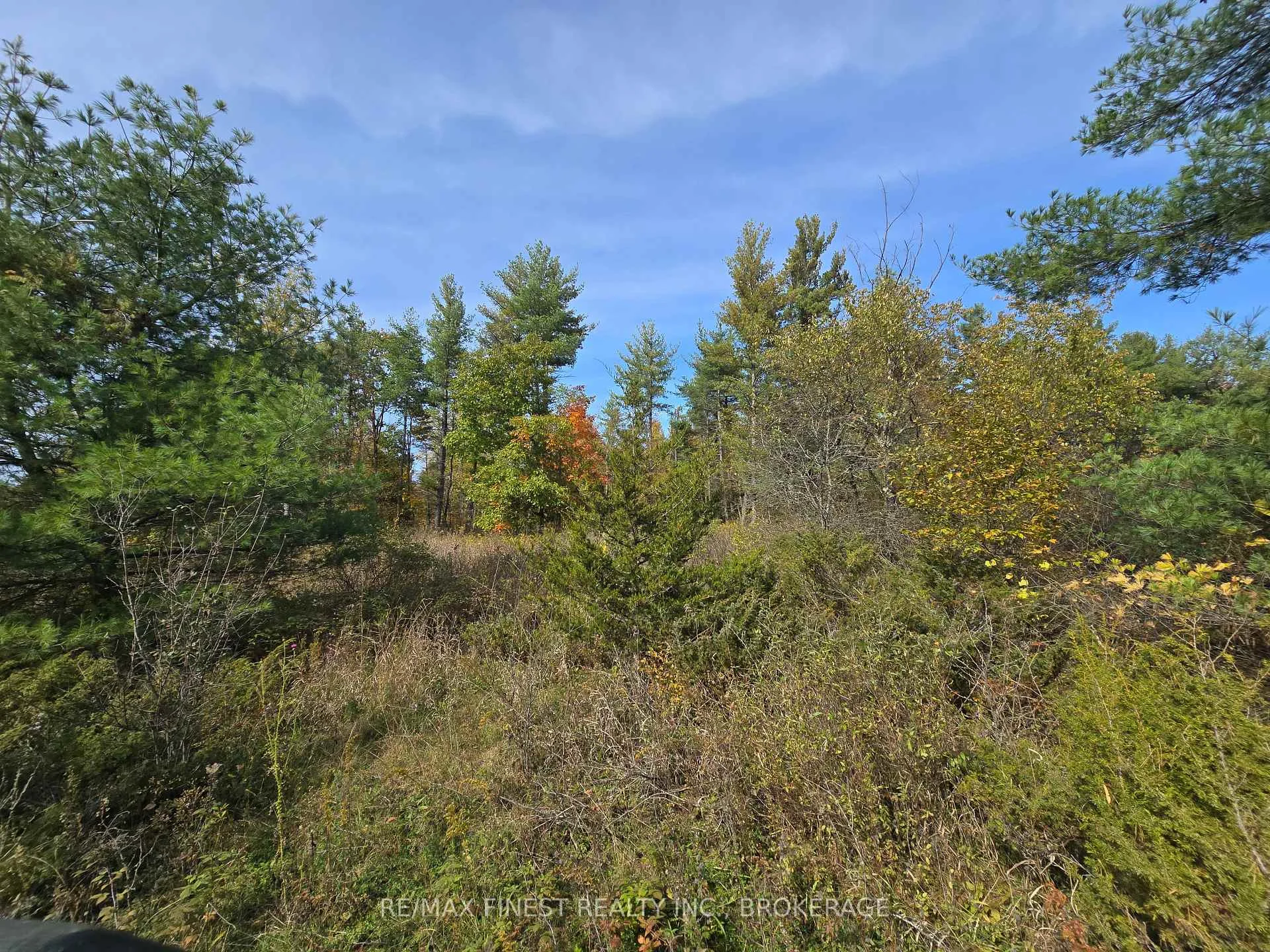 Photo 17 of PT LT 23 & 24 Hunt Road, Stone Mills, Stone Mills — HOMEH