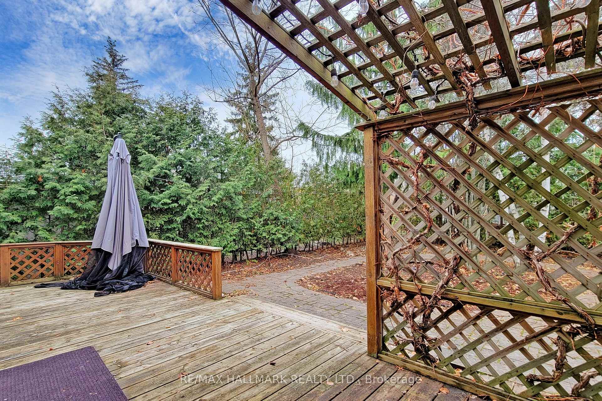 Photo 23 of 16 Knowles Crescent, Aurora, Aurora Heights — HOMEH
