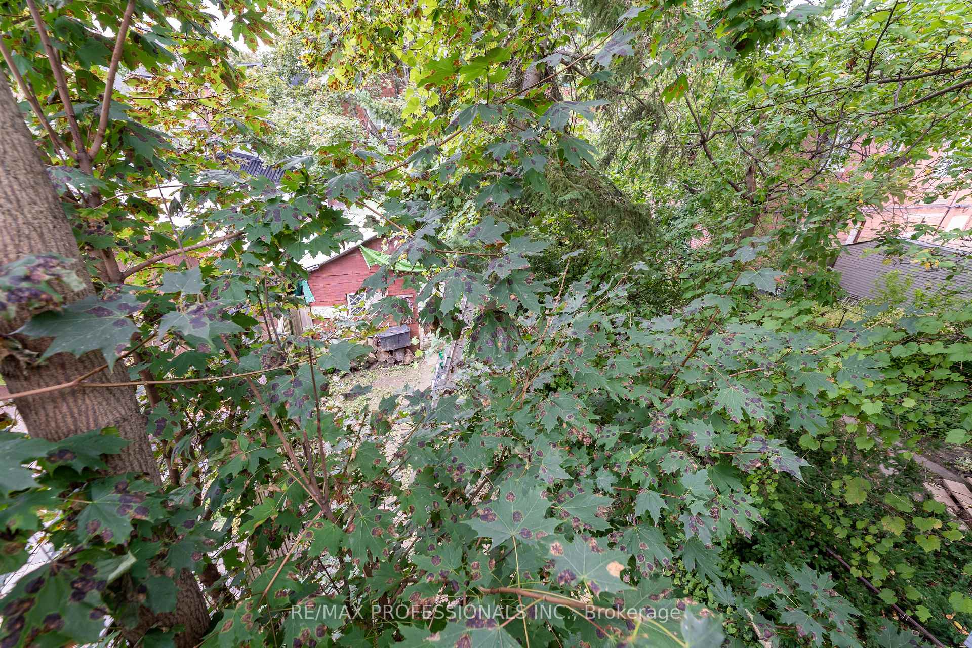 Photo 20 of 181 Garden Avenue, Toronto, Roncesvalles — HOMEH