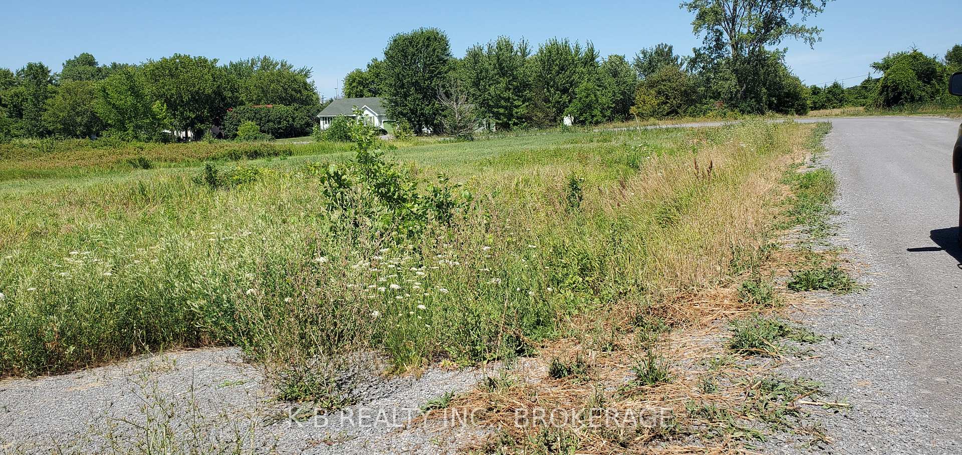 Photo of 31 Dorland Drive