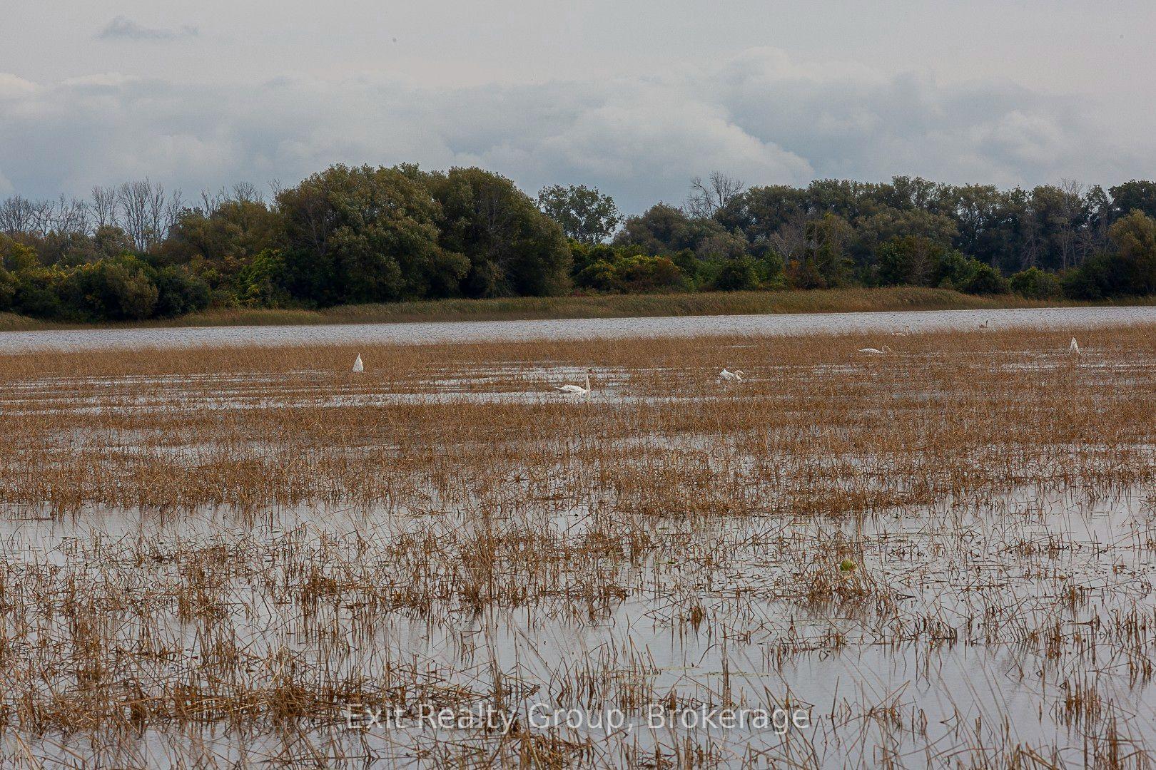 Photo 33 of Unit D7, 153 County Road 27, Prince Edward County, Hillier Ward — HOMEH