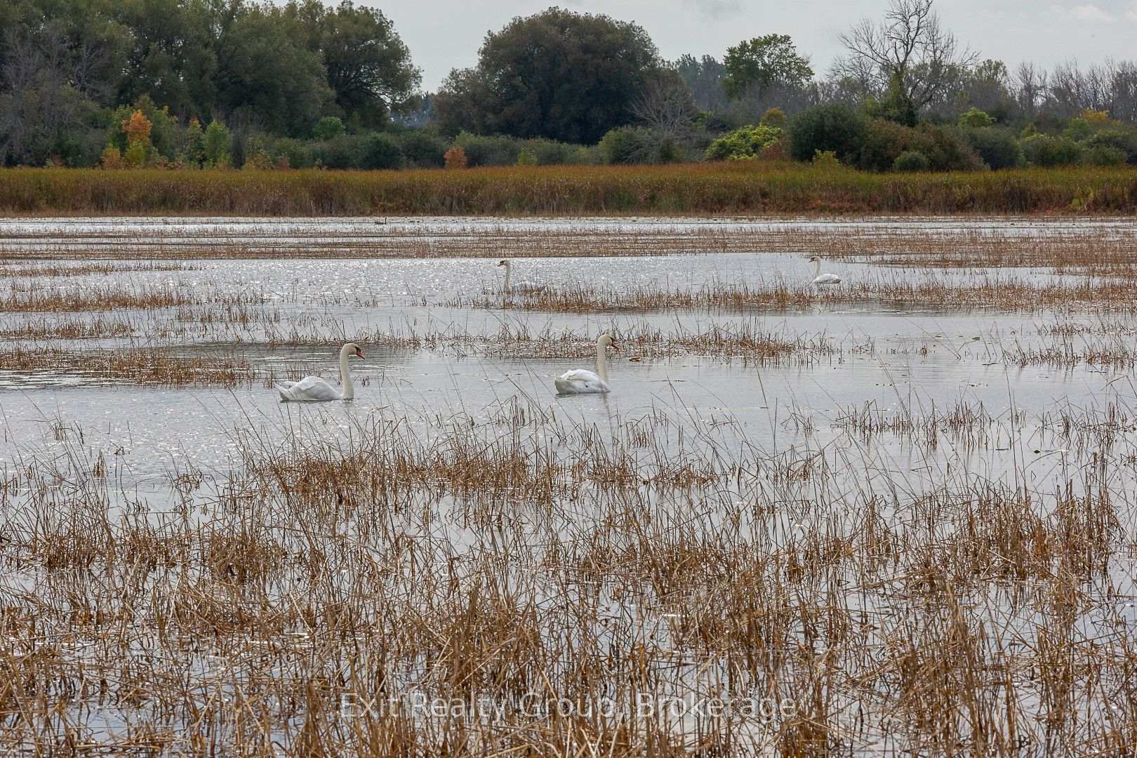 Photo 34 of Unit D7, 153 County Road 27, Prince Edward County, Hillier Ward — HOMEH