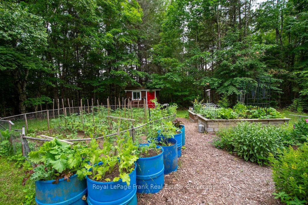 Photo 41 of 3719 County Rd 507, Trent Lakes — HOMEH