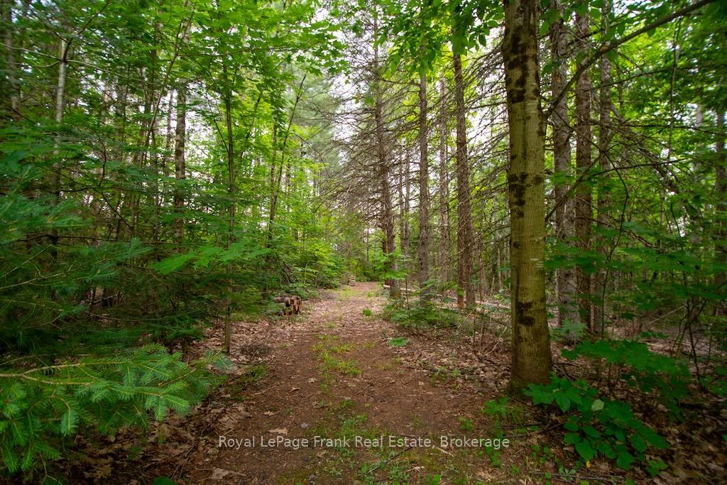 Photo 42 of 3719 County Rd 507, Trent Lakes — HOMEH