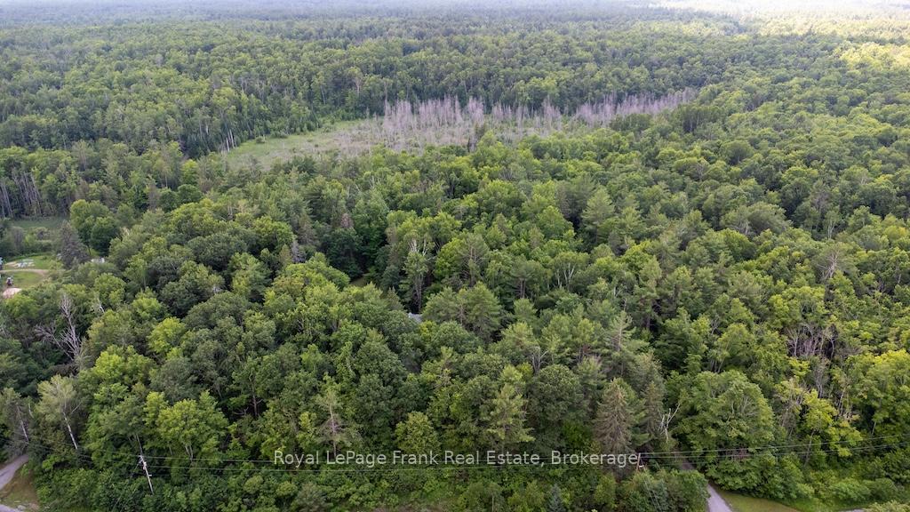 Photo 43 of 3719 County Rd 507, Trent Lakes — HOMEH