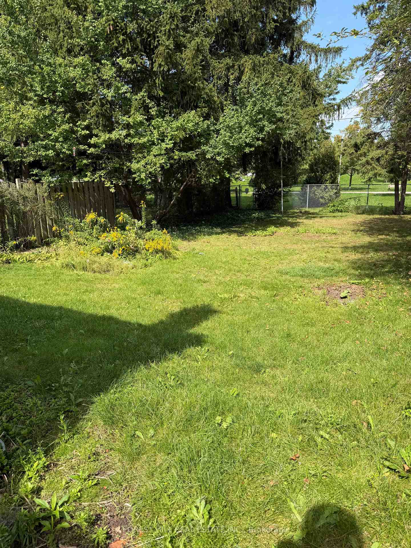 Photo 36 of 55 Craigmore Crescent, North York, Willowdale East — HOMEH