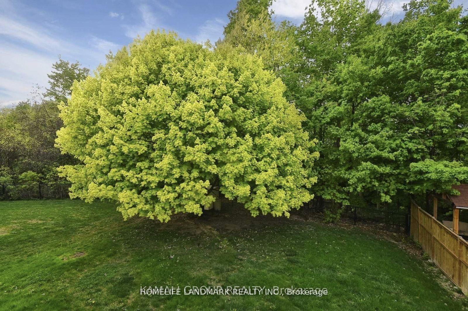 Photo 18 of 72 Osprey Ridge Road, Barrie, Little Lake — HOMEH